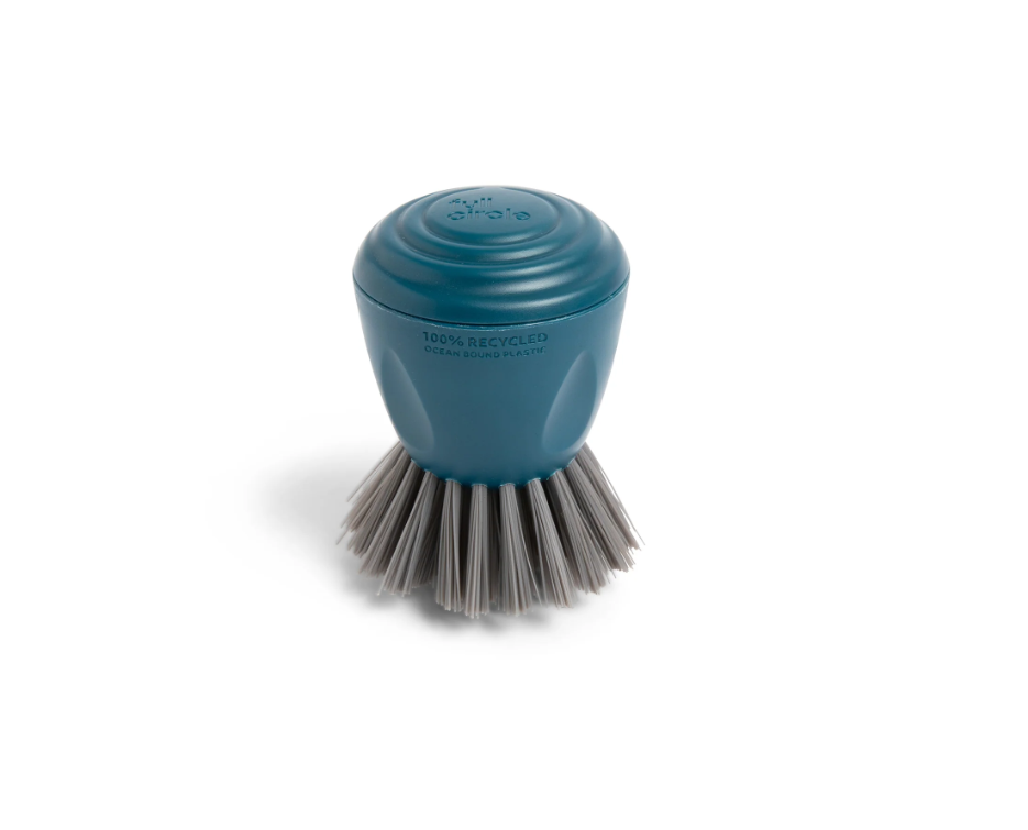 Full Circle: Clean Ocean Palm Brush