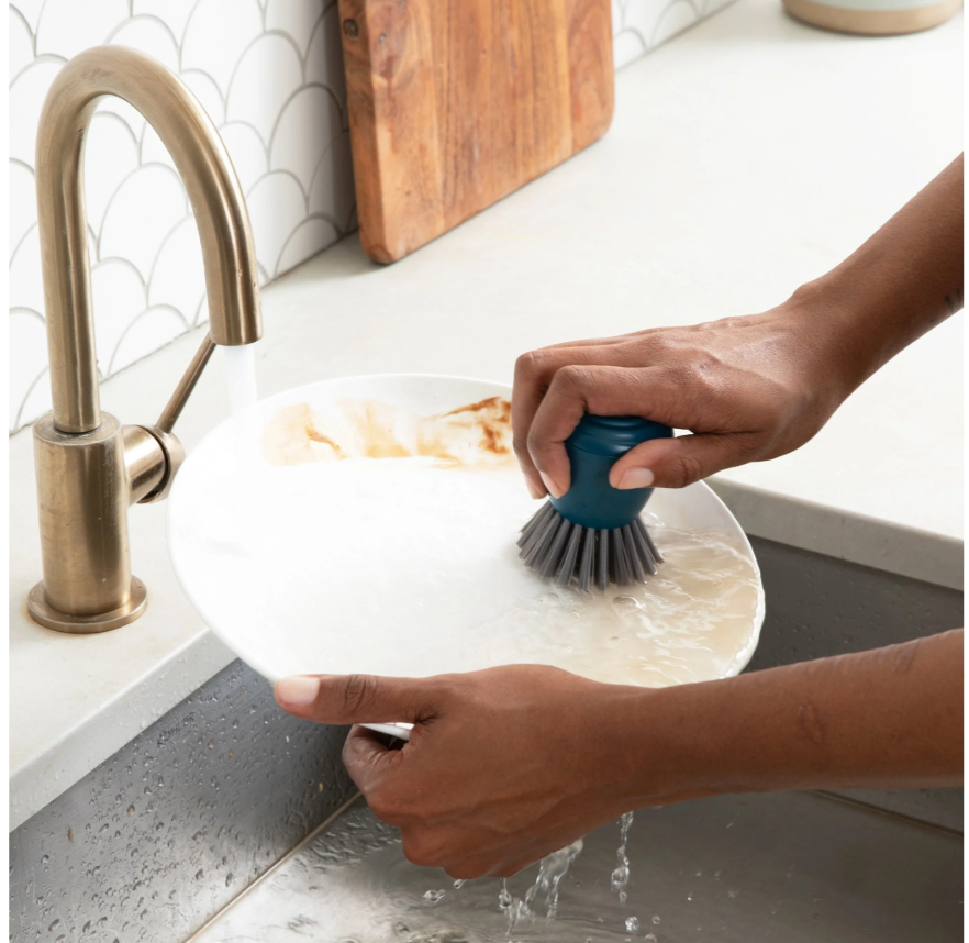 Full Circle: Clean Ocean Palm Brush